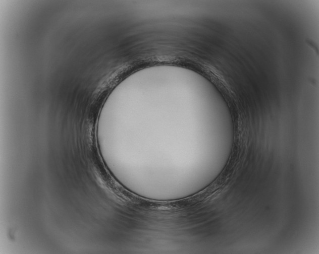 X0000100370542200806060804