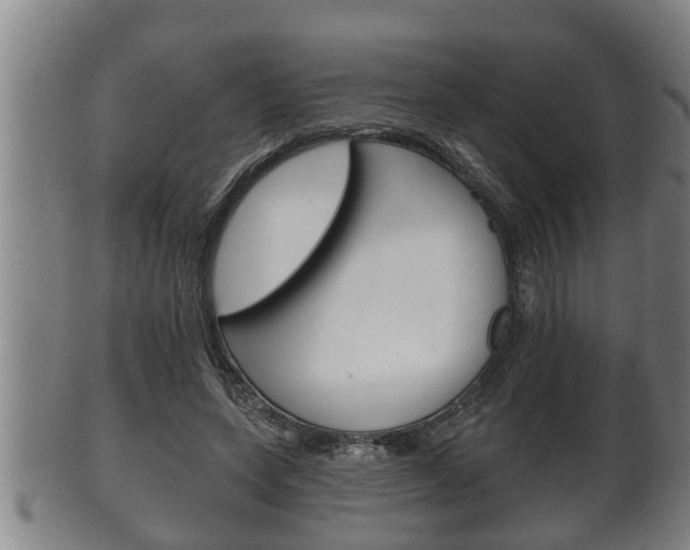 X0000100370543200806060804