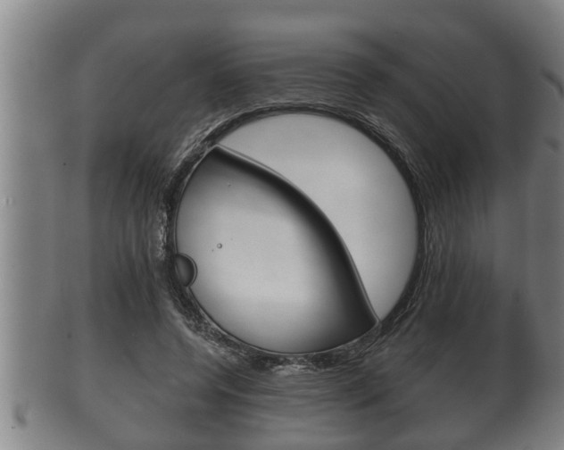 X0000100370544200806060804