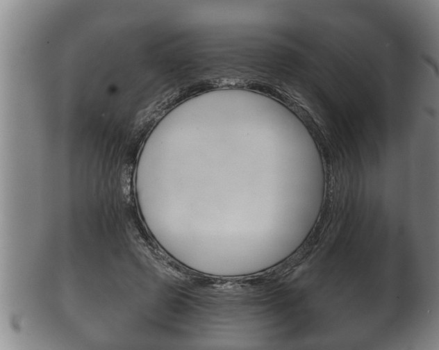 X0000100370545200806060804