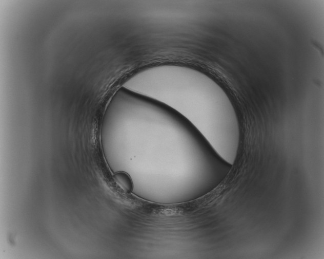 X0000100370546200806060804
