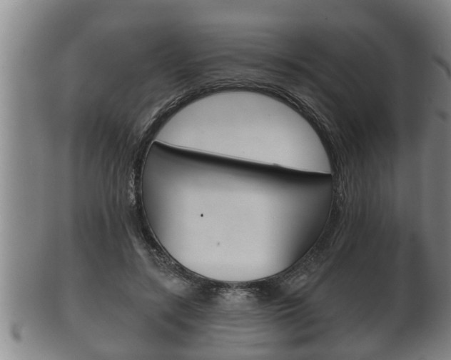 X0000100370547200806060804