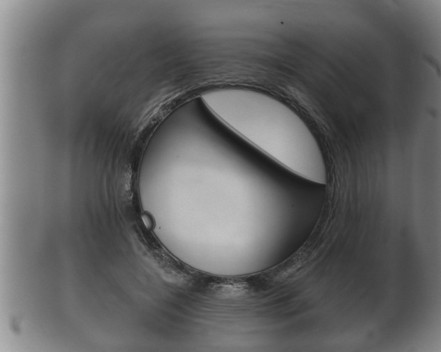 X0000100370548200806060804