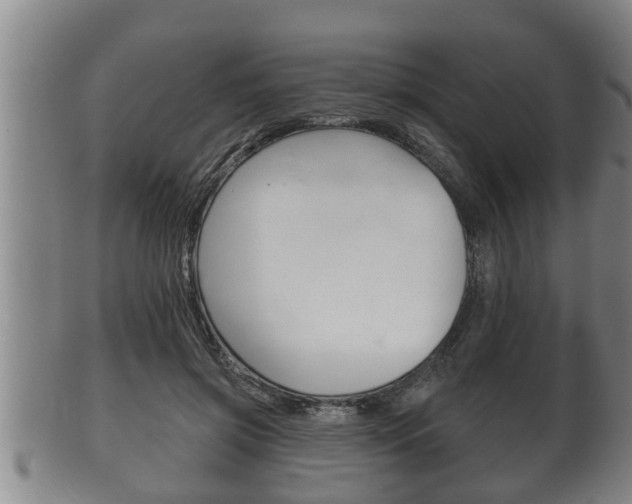 X0000100370549200806060804