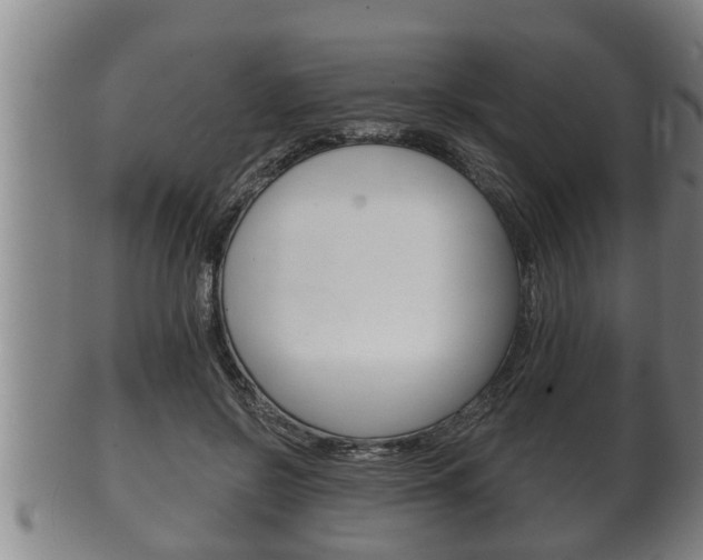 X0000100370550200806060804