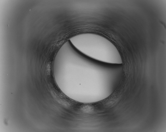 X0000100370551200806060804