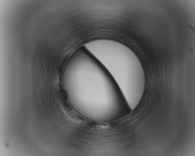 X0000100370552200806060804