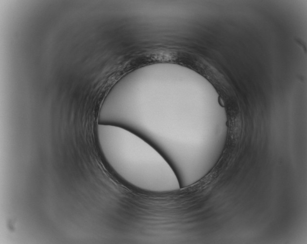 X0000100370553200806060804