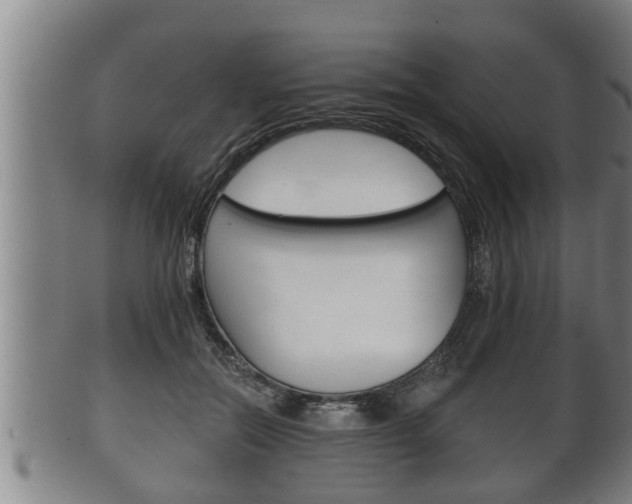X0000100370554200806060804