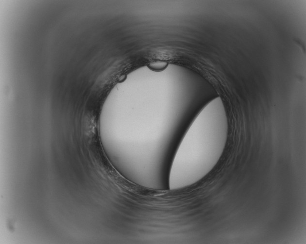 X0000100370555200806060804