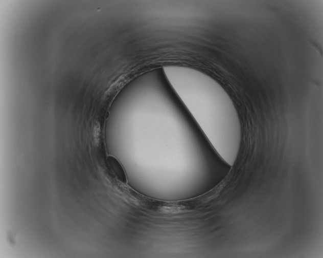X0000100370556200806060804