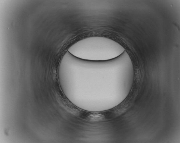 X0000100370557200806060804