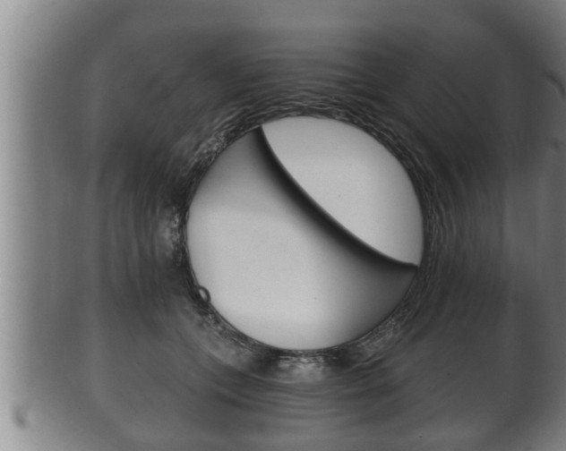 X0000100370559200806060804