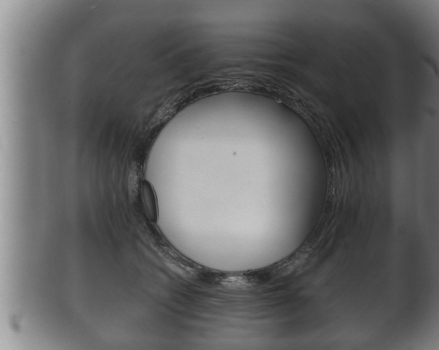 X0000100370562200806060804