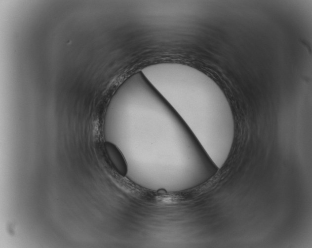 X0000100370564200806060804
