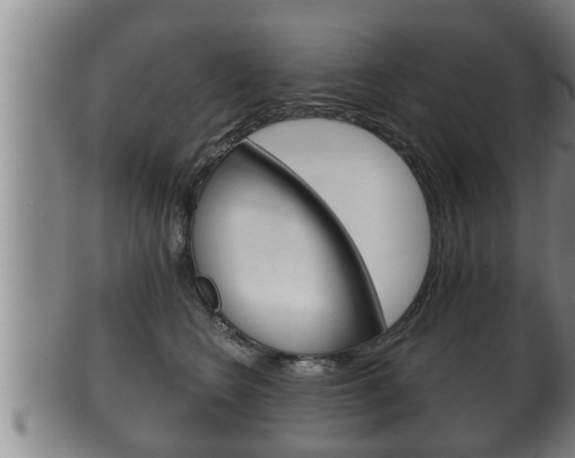 X0000100370566200806060804