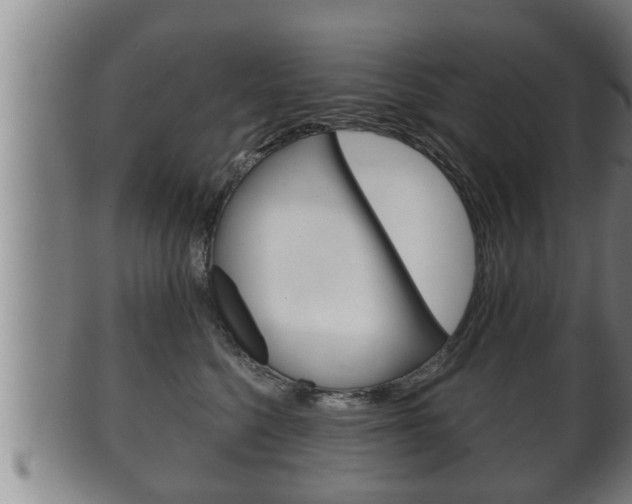 X0000100370568200806060804