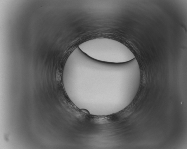X0000100370569200806060804