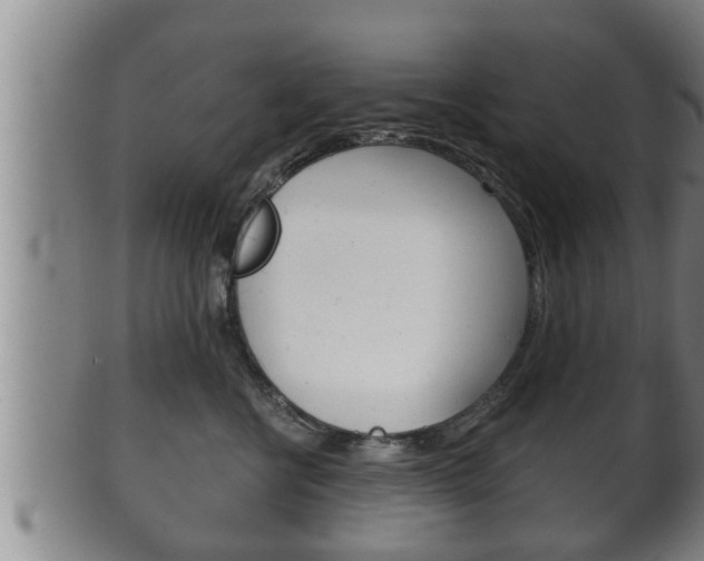 X0000100370570200806060804