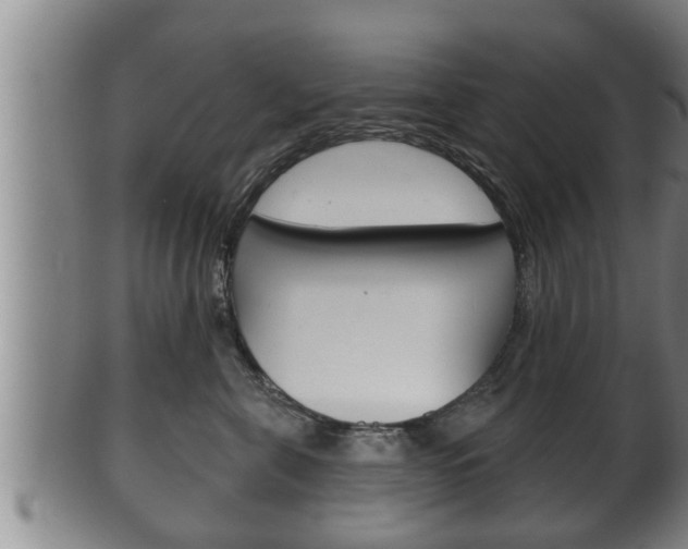 X0000100370571200806060804