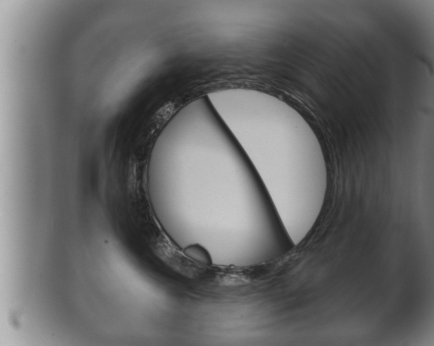 X0000100370572200806060805