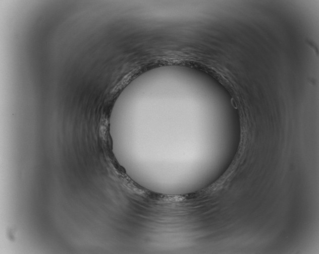 X0000100370576200806060805
