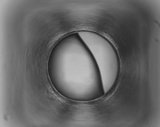 X0000100370577200806060804