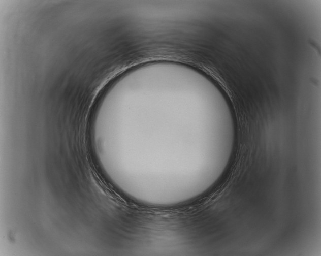 X0000100370579200806060804