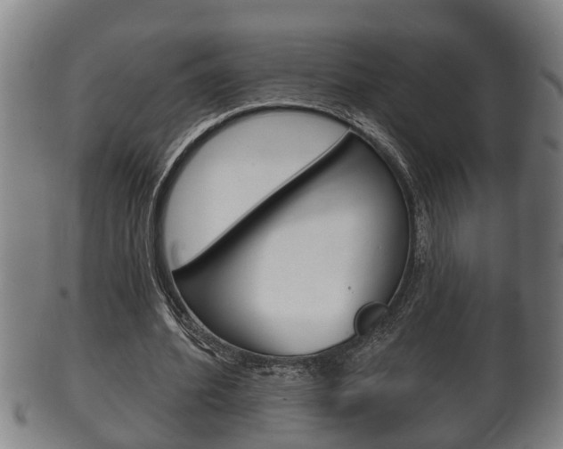 X0000100370580200806060804