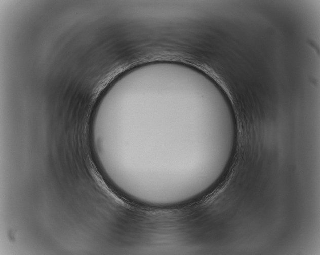X0000100370581200806060804