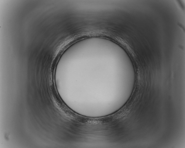 X0000100370582200806060804