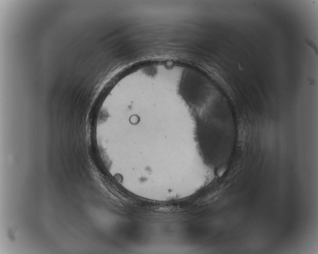 X0000100370584200806060804