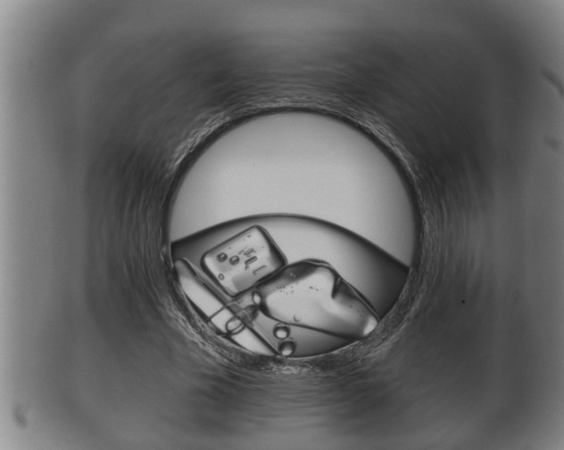 X0000100370585200806060804