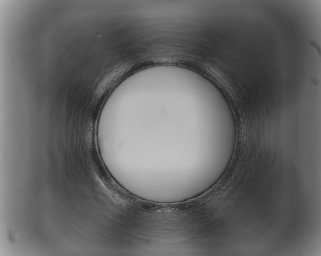 X0000100370586200806060804