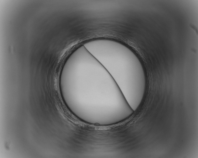 X0000100370587200806060804