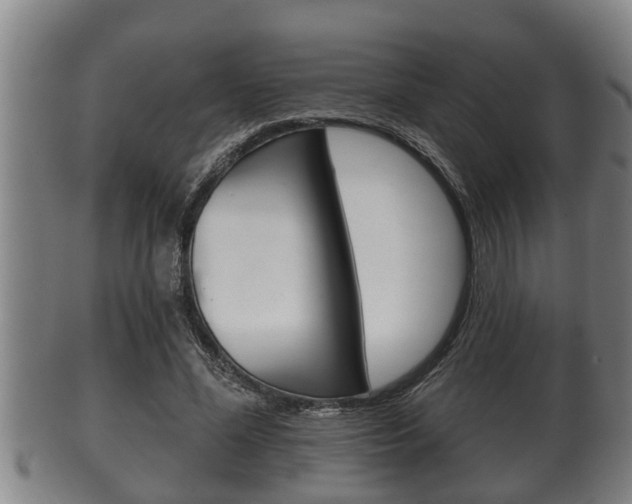 X0000100370588200806060804