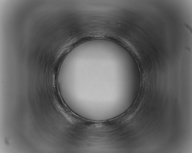 X0000100370589200806060804