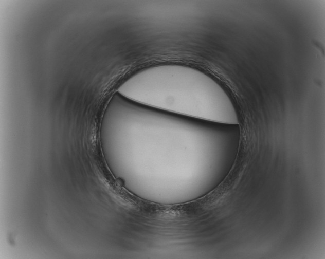 X0000100370593200806060804