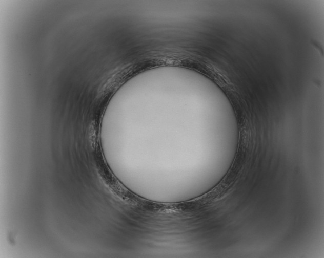 X0000100370594200806060804
