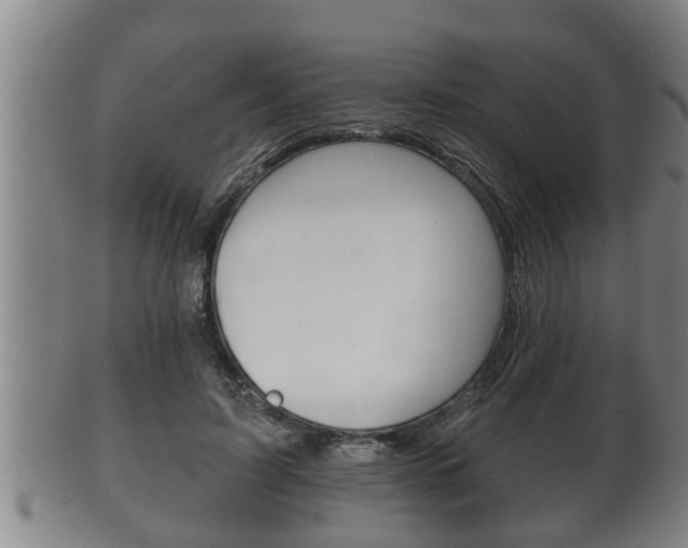 X0000100370595200806060804