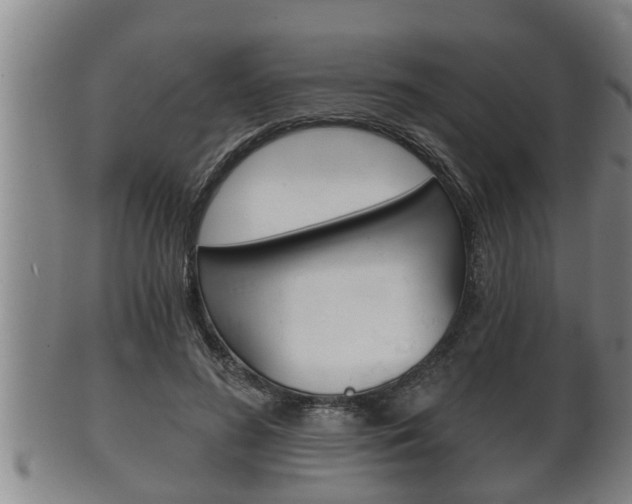 X0000100370596200806060804