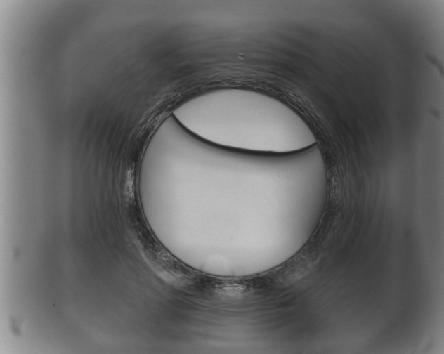X0000100370598200806060804