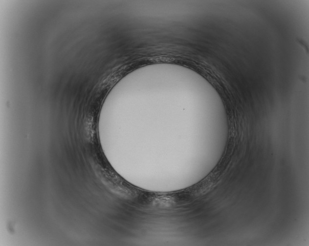 X0000100370599200806060804