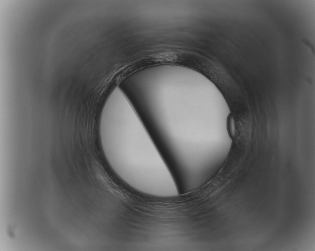 X0000100370600200806060804