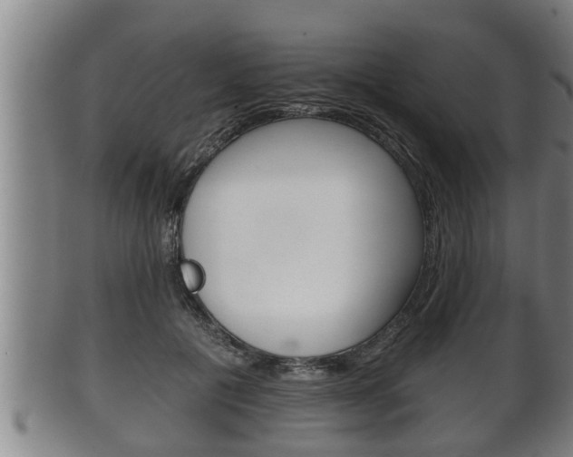X0000100370601200806060804
