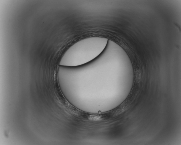 X0000100370602200806060804