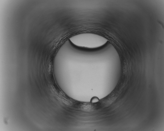 X0000100370604200806060804