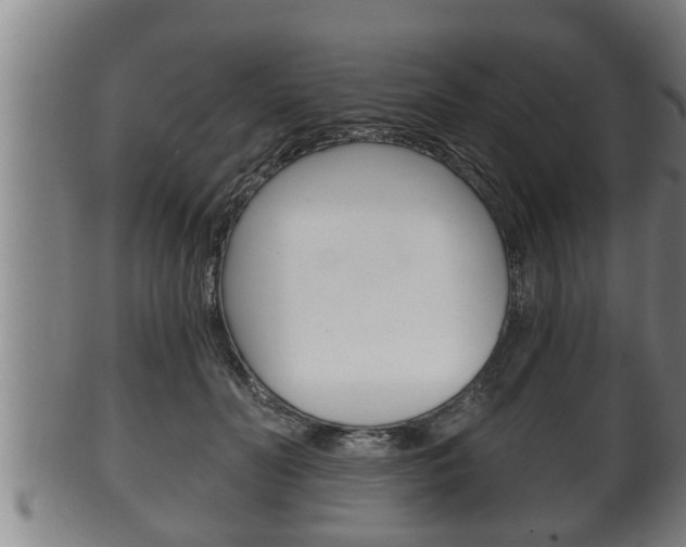 X0000100370606200806060803