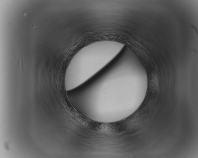 X0000100370608200806060803