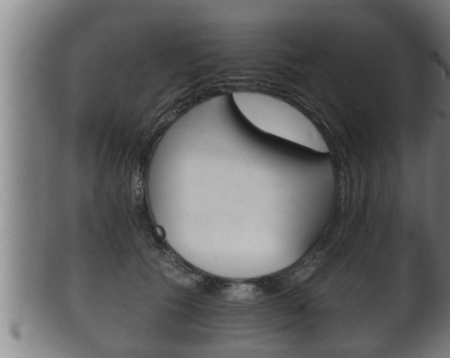 X0000100370609200806060803